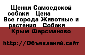 Щенки Самоедской собаки › Цена ­ 25 000 - Все города Животные и растения » Собаки   . Крым,Ферсманово